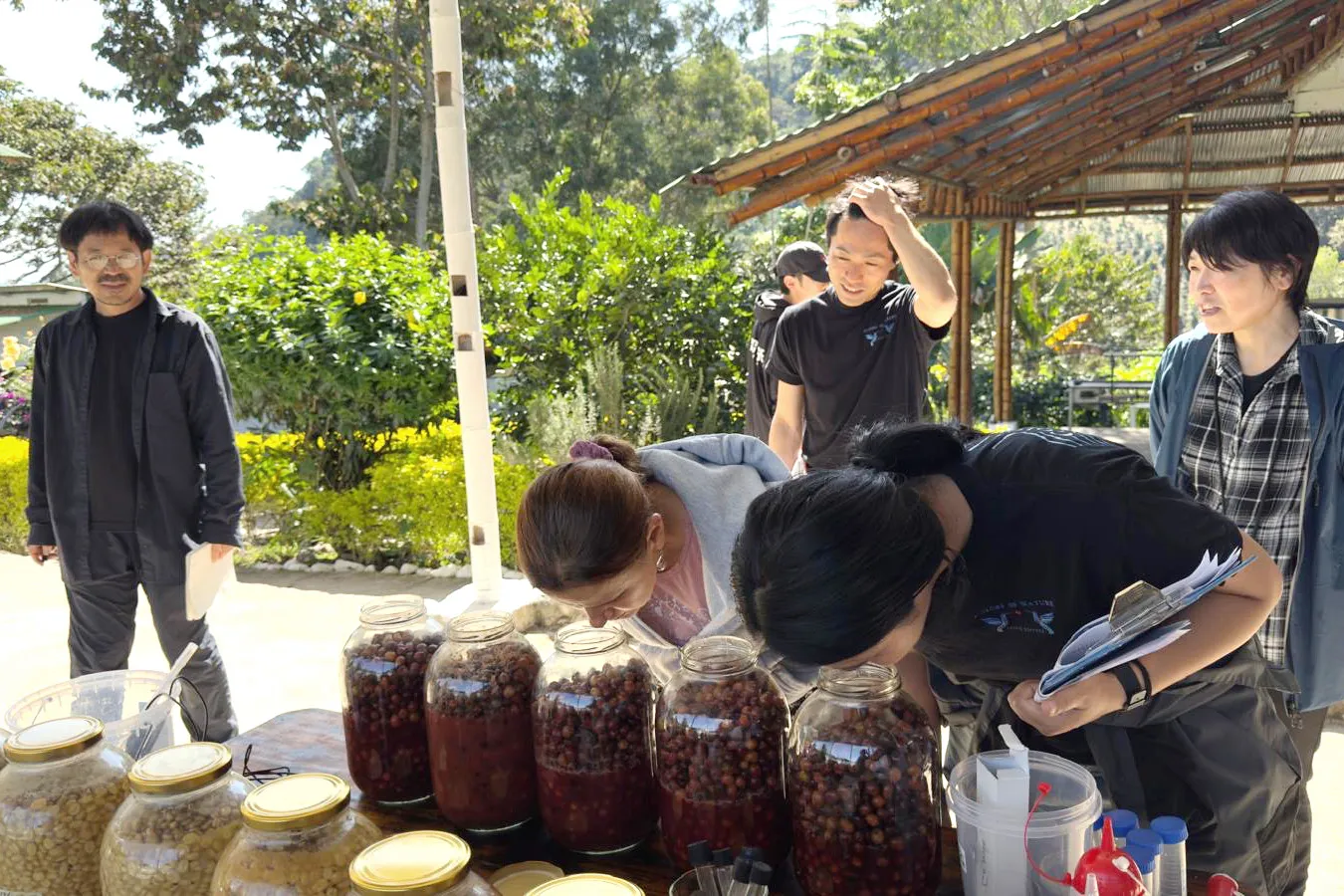 新しいコーヒー加工技術の模索1