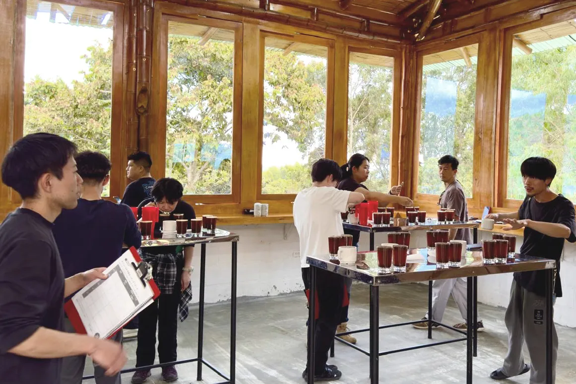 新しいコーヒー加工技術の模索3