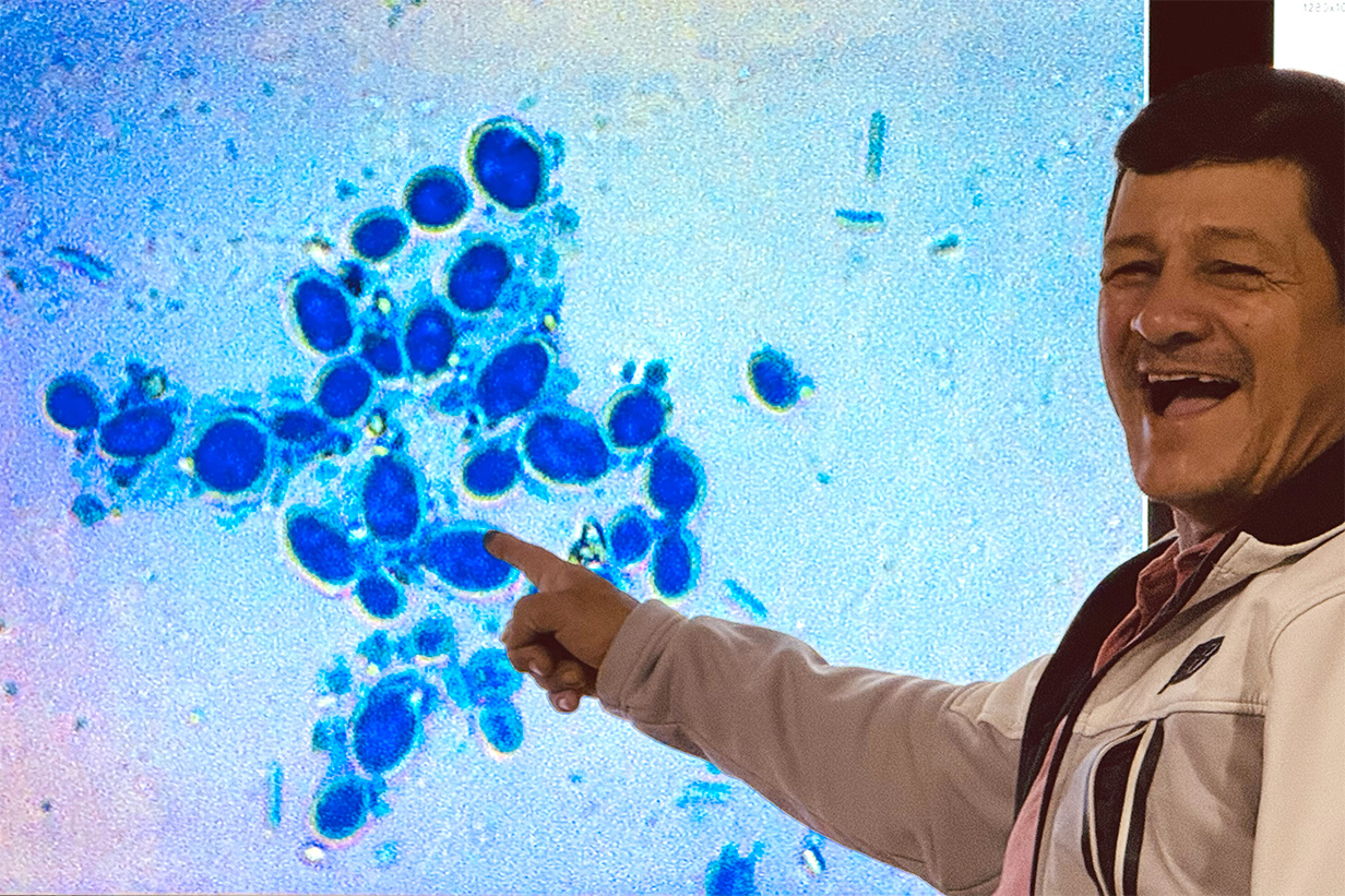 新たな微生物の効果を見つけて喜ぶ地元コーヒー生産者