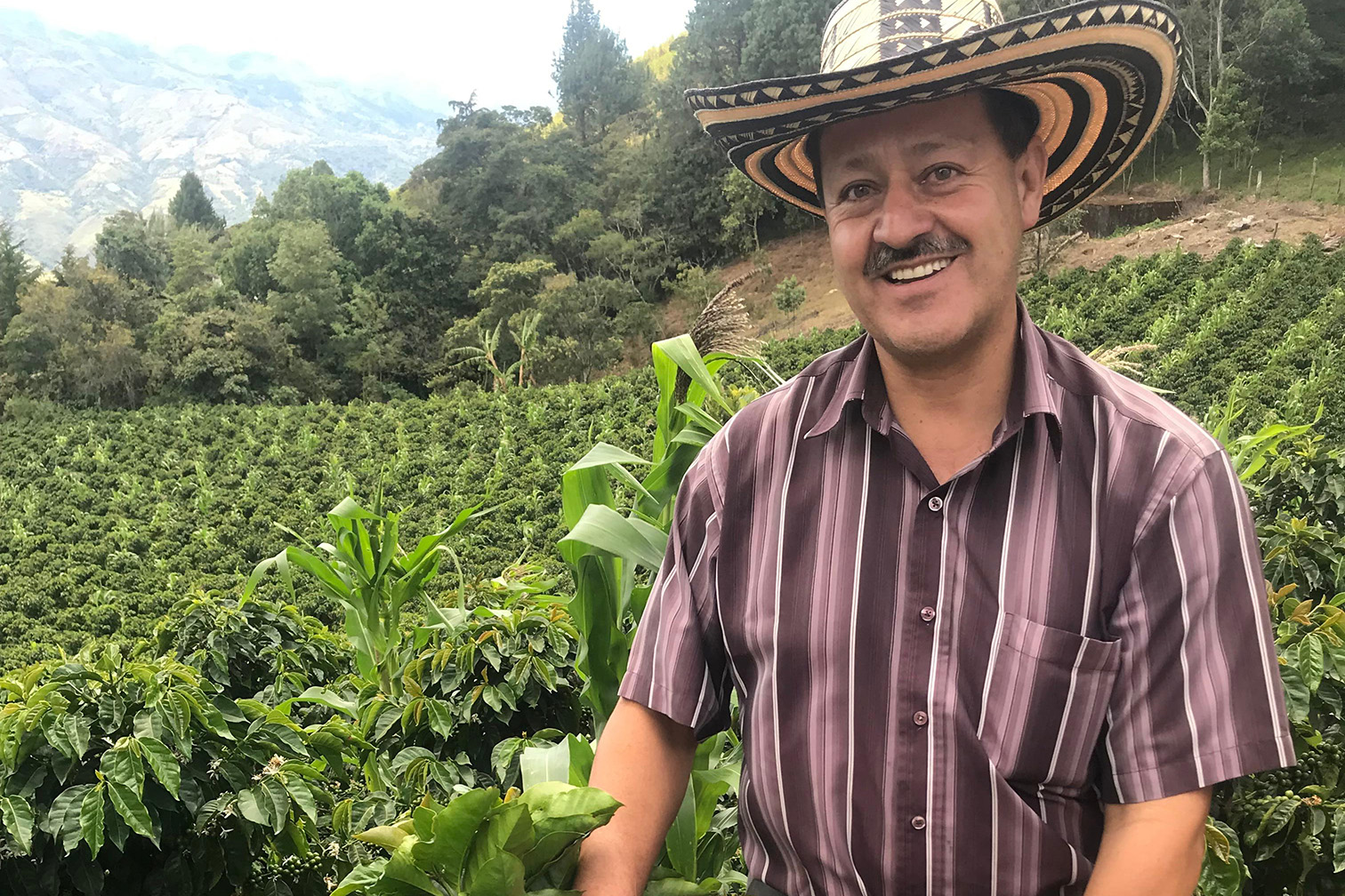 エストレージャス農園1