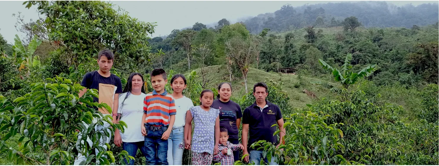 フォレスタ農園1