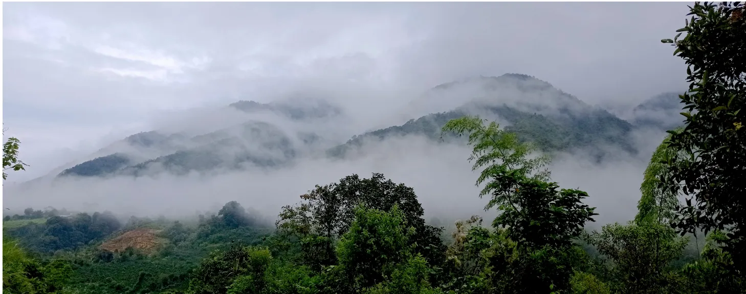 フォレスタ農園2