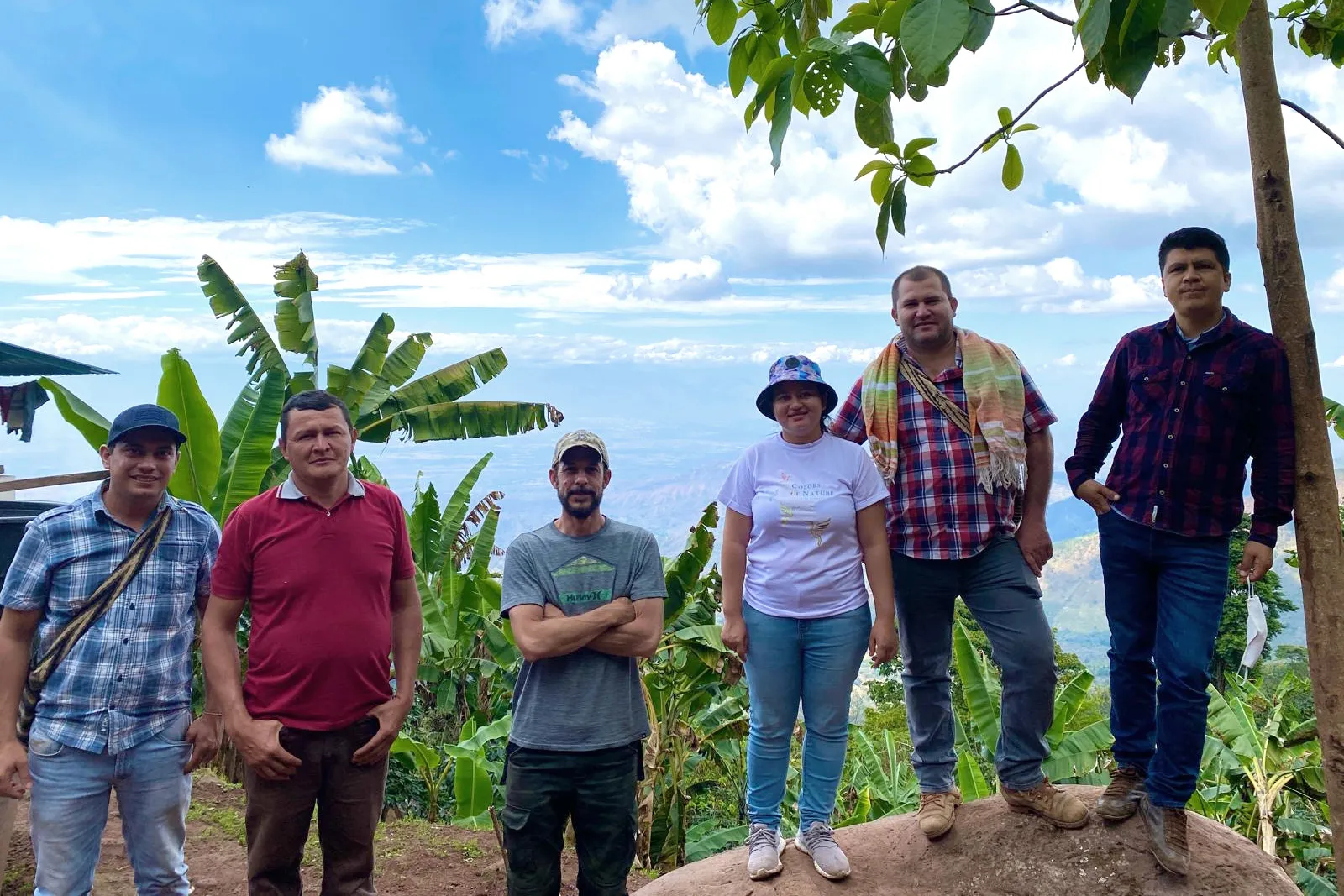 サンタイサベル農園2