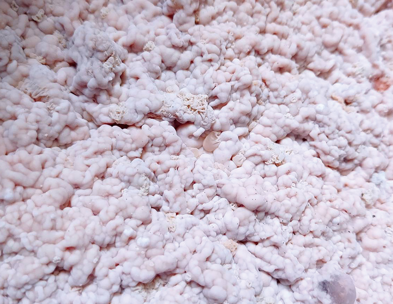 私たちは土着のユニークな微生物を大切にしています