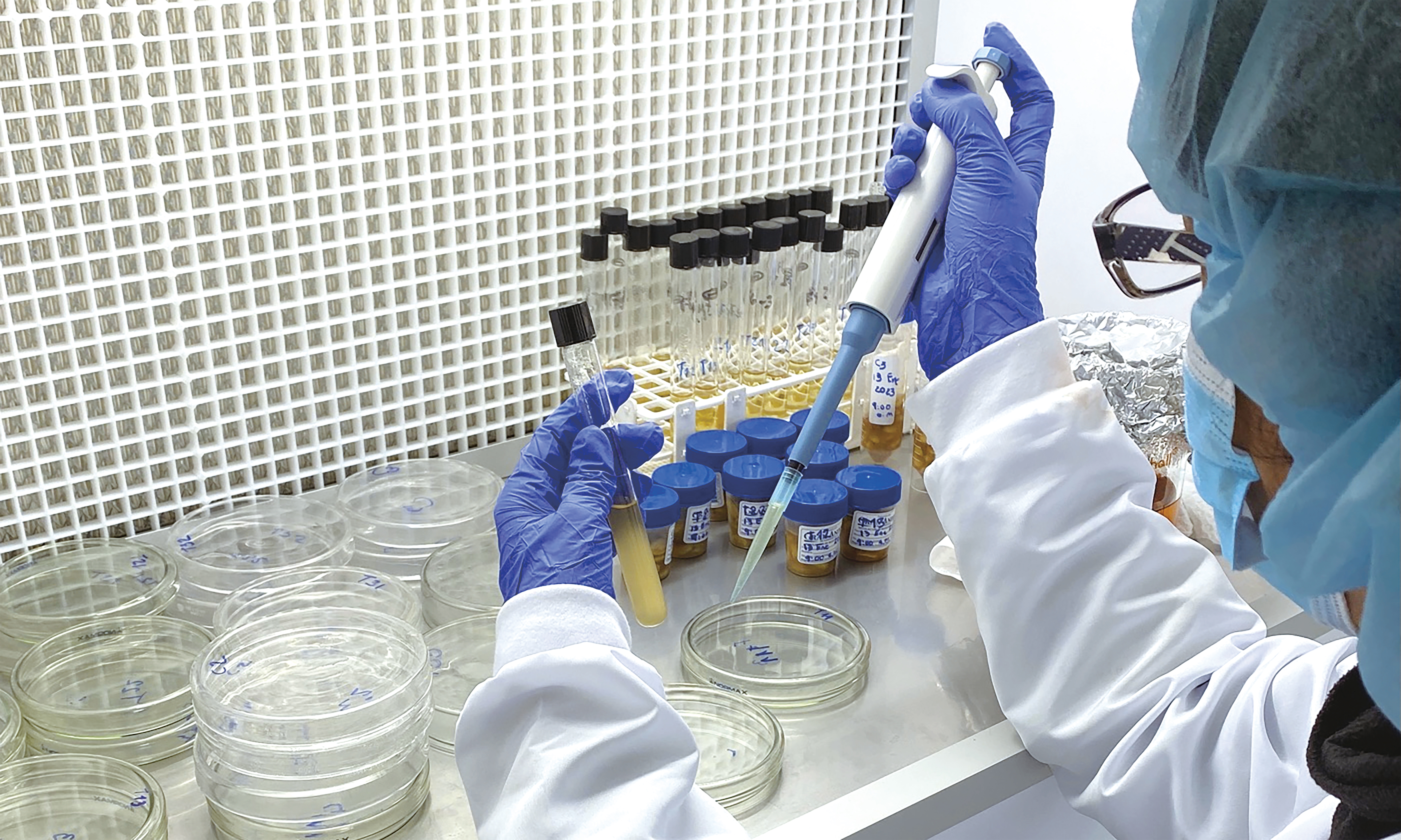 研究所では熱心なコーヒー研究が進む