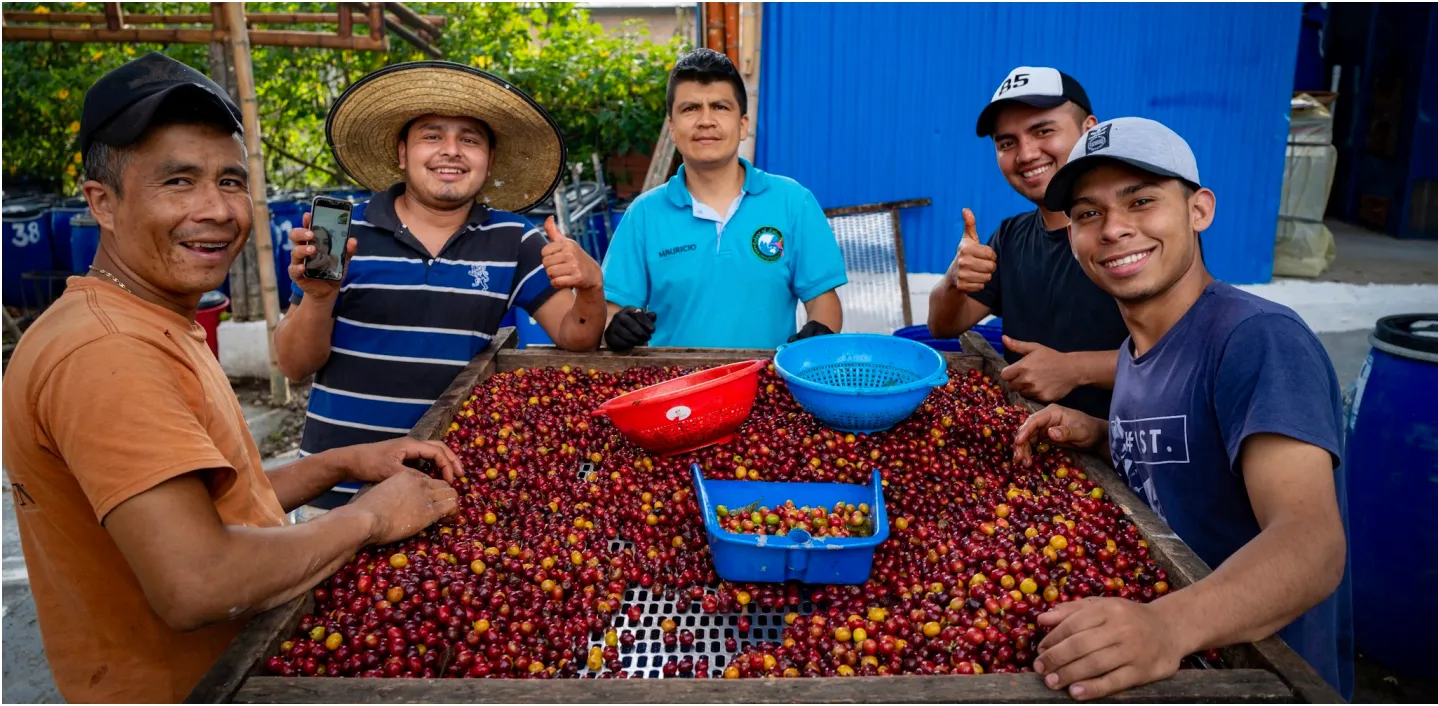 コーヒー業界に社会的革新をもたらすコラボレーションをしましょう