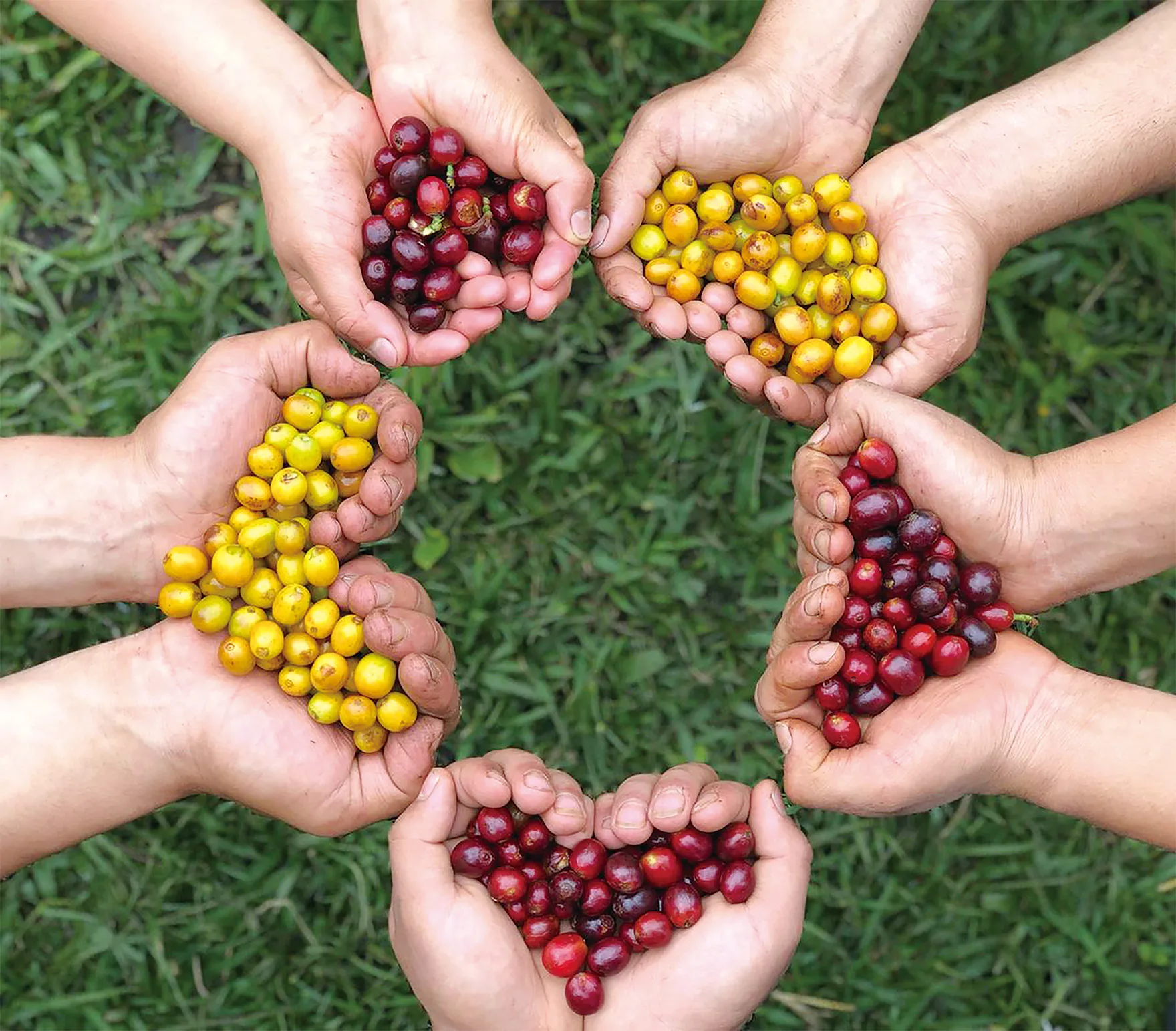 私たちの手で紡ぐストーリー