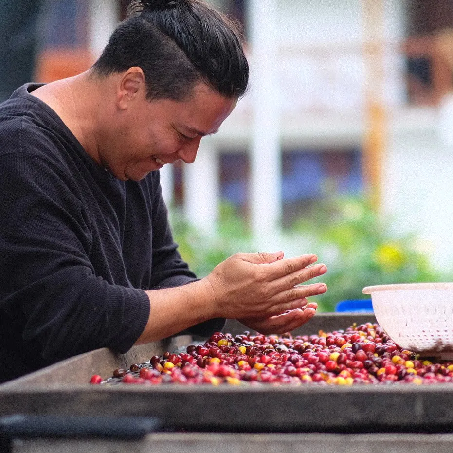 世界最高峰と品評／表彰を受けたコーヒー豆を多数取り扱う