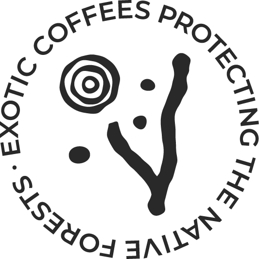 固有林を保護するエキゾチックなコーヒー